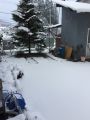 雪